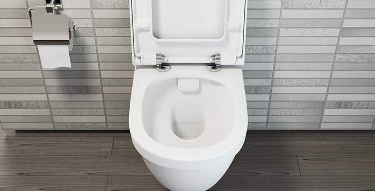 VitrA toilet with seat up showing rimless design